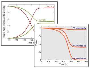 Microbial reaction and growth